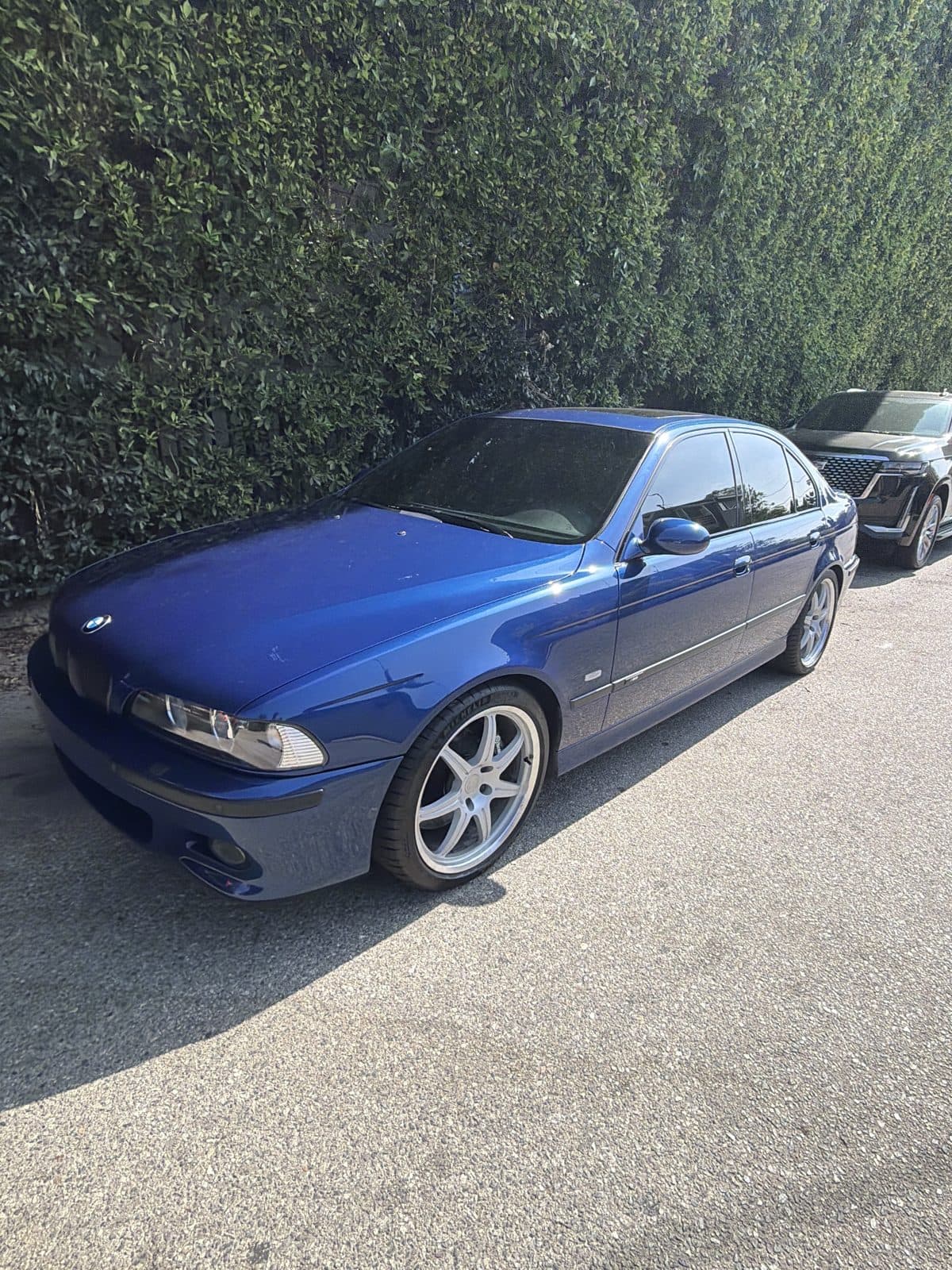 2003 BMW M5 pre-purchase inspection — exterior body panel photo