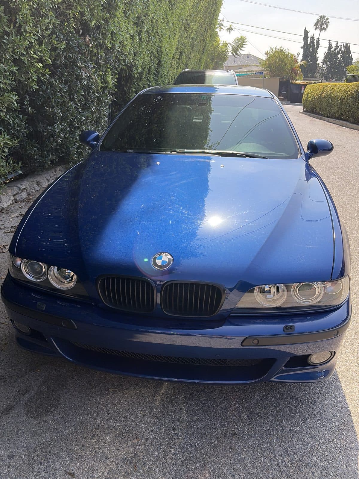 2003 BMW M5 pre-purchase inspection — exterior body panel photo