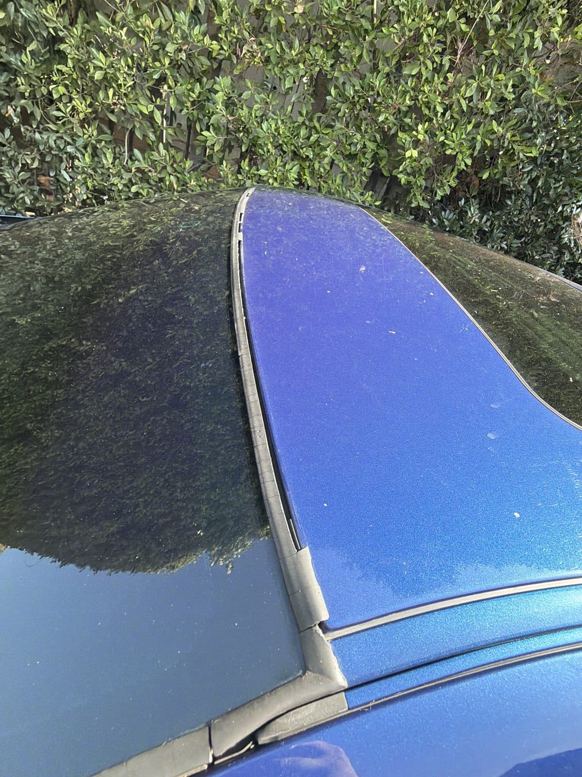 2003 BMW M5 pre-purchase inspection — exterior body panel photo
