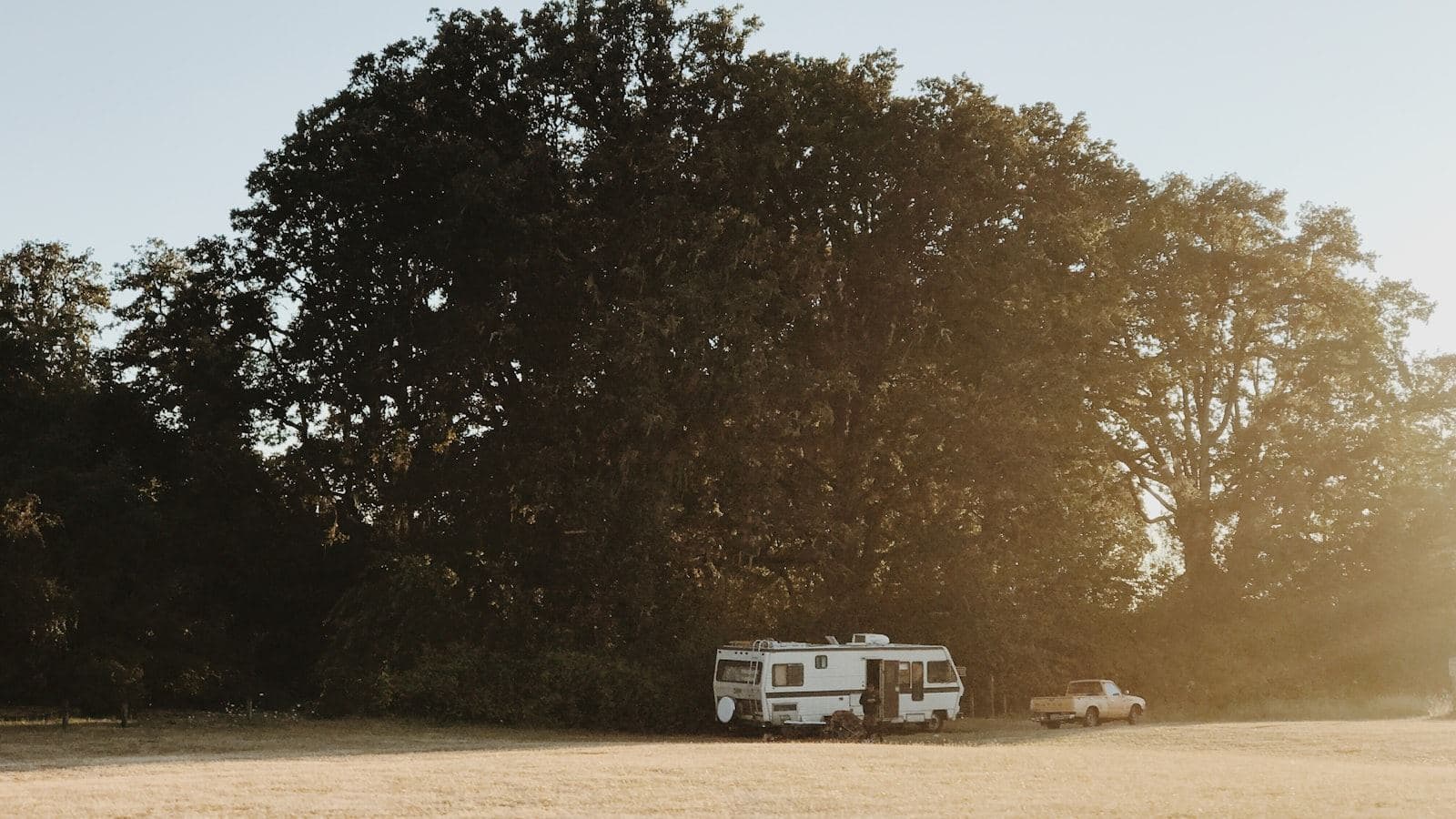 White RV travel trailer parked under green tree at a wooded campsite